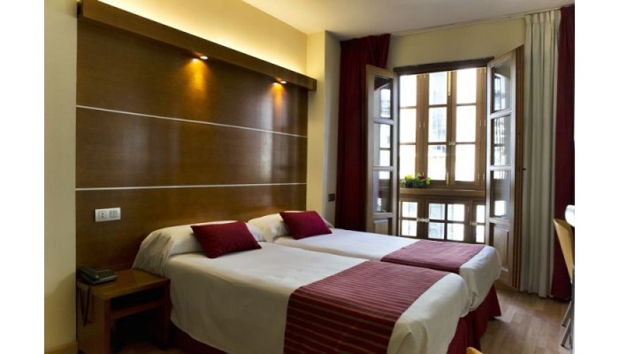 Domus Selecta Hotel Boutique Puerta De Las Granadas poza 0