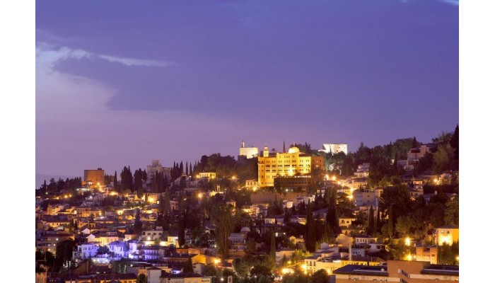 Hotel Alhambra Palace - Granada poza 0