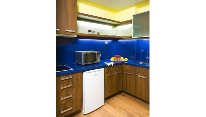 Hotel Aptos Suite Gran Via 44 poza 5