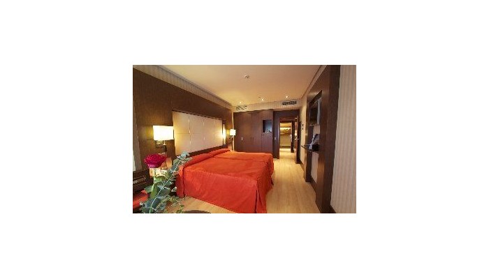 Hotel Barcelo Granada Congress poza 7