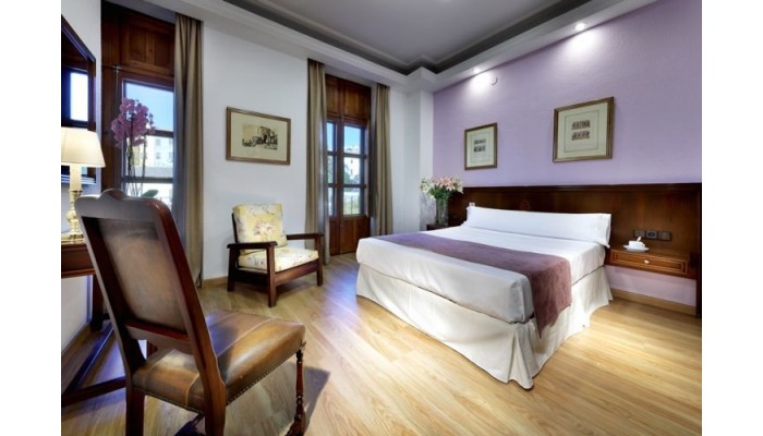 Hotel Exe Triunfo Granada poza 0