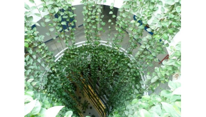 Hotel Helios Costa Tropical poza 5