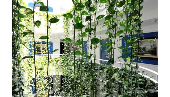 Hotel Helios Costa Tropical poza 1