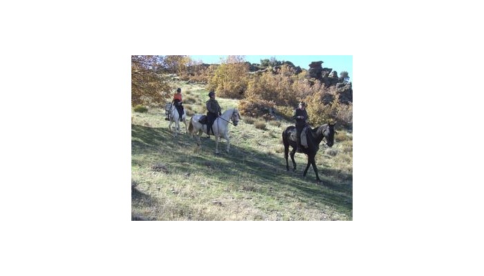 Hotel Juan Francisco poza 6