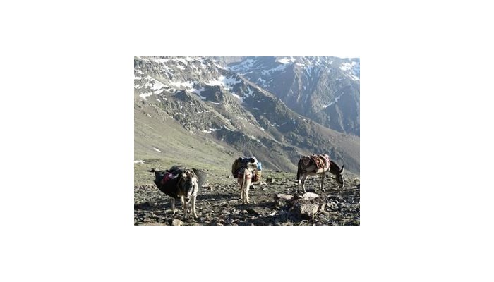 Hotel Juan Francisco poza 3