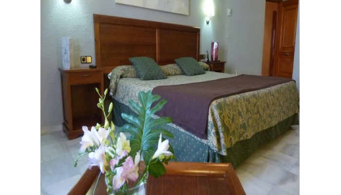 Hotel Juan Miguel - Granada poza 5