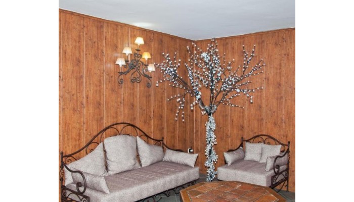 Hotel Reino Nevado poza 3