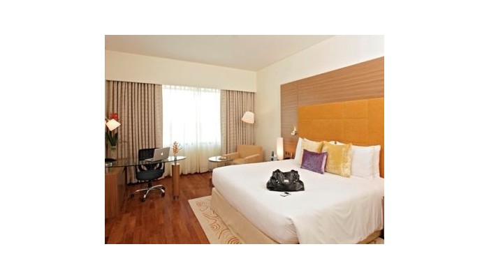 Hotel Country Inn And Suites Udyog Vihar poza 4