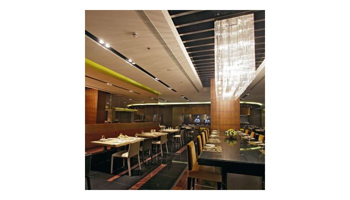 Hotel Country Inn Suites By Carlson poza 8