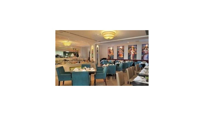 Hotel Optus Sarovar Premiere poza 5