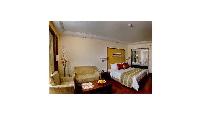 Hotel Park Inn poza 2