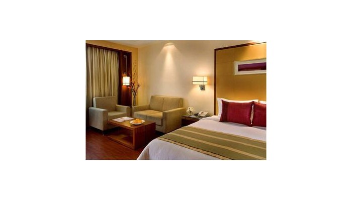 Hotel Park Inn poza 1