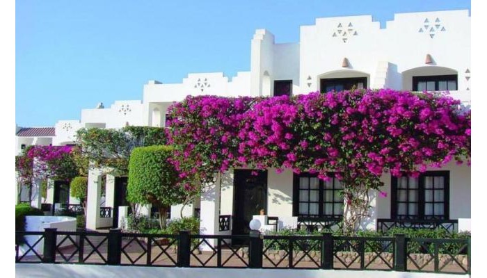 Verginia Sharm Resort & Aqua Park poza 30