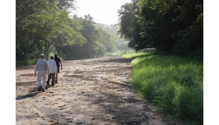 Hotel Leopard Mountain Safari Lodge poza 0