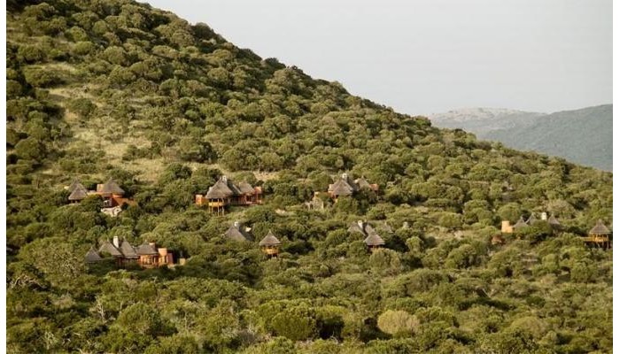 Hotel Wildebees Ecolodge poza 0