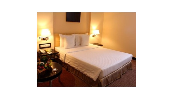 Poza pentru Hotel Palace Saigon 36-1488319977 Hotel Palace Saigon poza 4