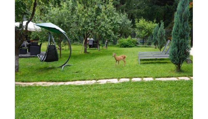 Hotel Pension Andra's House poza 0