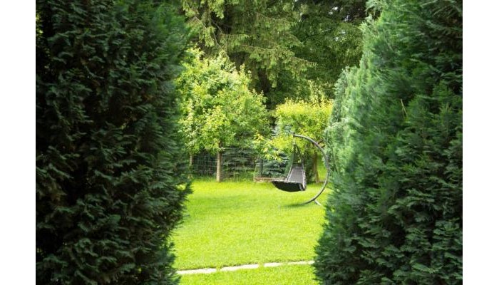 Hotel Pension Andra's House poza 10