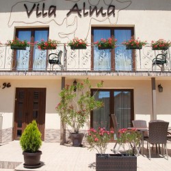 Imagine pentru Vila Alma Cazare - City Break Crisana la hoteluri de 3* stele 2024