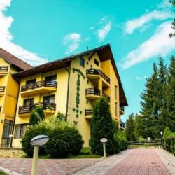 Imagine pentru Pensiunea Vanatorul Cazare - Munte Vatra Dornei la hoteluri de 4* stele 2024