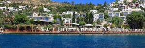Imagine pentru No 81 Hotel Cazare - Litoral Bodrum 2025
