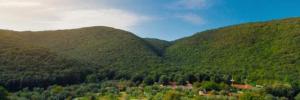 Imagine pentru Maslinica - Camping Residence Oliva Cazare - Litoral Istria 2025