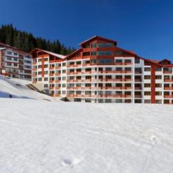 Imagine pentru Pamporovo Cazare + Autocar - Bulgaria la hoteluri cu Demipensiune 2025