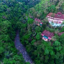 Imagine pentru Ayung Resort Ubud Cazare - Litoral Bali la hoteluri cu Demipensiune 2024