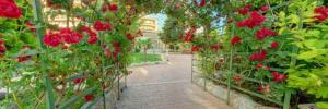 Imagine pentru Hotel Mena Palace Cazare + Autocar - Litoral Sunny Beach 2026