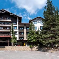 Imagine pentru Hotel Lion Cazare - Munte Borovets la hoteluri cu Demipensiune 2025