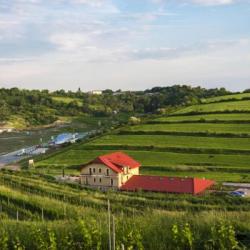 Imagine pentru Pensiunea Sarea-n Bucate (Crama La Salina) Cazare - Turda 2026