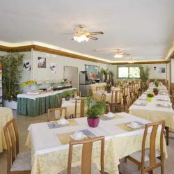 Imagine pentru Elite Hotel Cazare - Litoral Rimini la hoteluri de 3* stele 2025