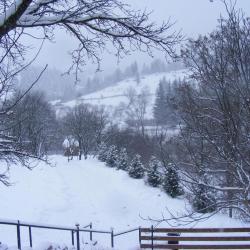 Imagine pentru Hotel Cabana Dochita Cazare - Munte Durau 2026