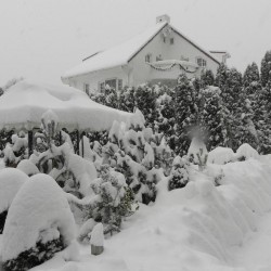 Imagine pentru Boutique Hotel Club Austria Cazare - Munte Busteni la hoteluri de 5* stele 2025