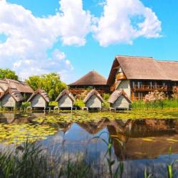 Imagine pentru Delta Dunarii Cazare - City Break Romania 2025