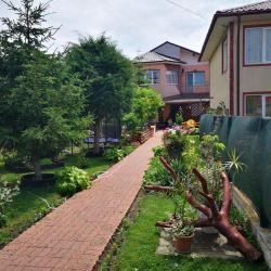Imagine pentru Hotel Casa Aura Cazare - Litoral Costinesti la hoteluri de 3* stele 2025