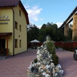 Imagine pentru Pensiunea Narcisa Cazare - Munte Borsa la hoteluri de 3* stele 2025