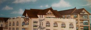 Imagine pentru Complex Turistic Max International Cazare - Munte Bran Moeciu 2025