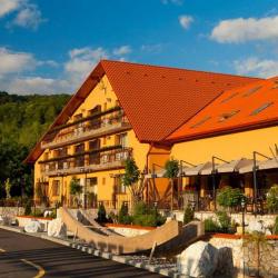 Imagine pentru Hotel Belvedere Cazare - City Break Sovata la hoteluri de 3* stele 2025