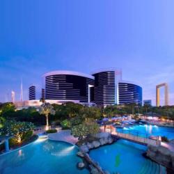Imagine pentru Hotel Grand Hyatt Charter Avion - Dubai 2024
