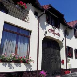 Imagine pentru Pensiunea Magnolia Cazare - City Break Marginimea Sibiului la hoteluri de 3* stele 2025