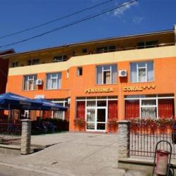 Imagine pentru Hotel Pension Coral Cazare - City Break Baia Mare la hoteluri de 3* stele 2025