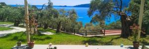 Imagine pentru Hotel Celeste Golden Beach Cazare - Litoral Skala Potamias 2025