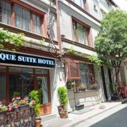 Imagine pentru Hotel Taksim Unique Suites City Break - Istanbul 2027