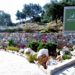 Imagine pentru Hotel Aksos Suites Cazare - All Locations 2025