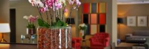 Imagine pentru Luxury Boutique Hotel Can Alomar Cazare - Litoral Majorca 2027