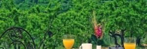 Imagine pentru Hotel Alahuar Cazare - Litoral Valencia la hoteluri de 4* stele 2025