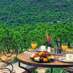 Imagine pentru Hotel Alahuar Cazare - Litoral Valencia la hoteluri de 4* stele 2025