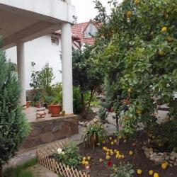 Imagine pentru Villa Cristiani Cazare - Cristian la hoteluri de 4* stele 2025
