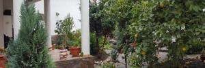 Imagine pentru Villa Cristiani Cazare - Cristian la hoteluri de 4* stele 2025